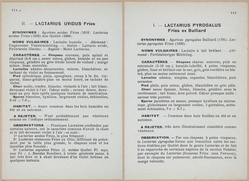 E409 - Les Champignons - i19460-19461
