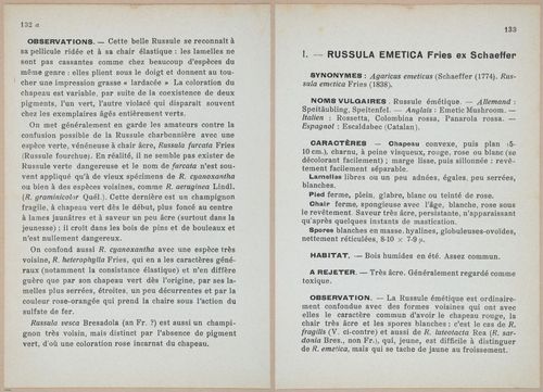E409 - Les Champignons - i19490-19491