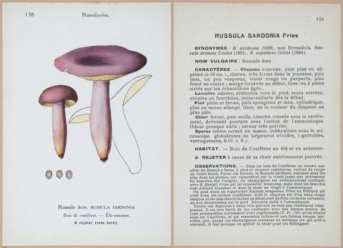 E409 - Les Champignons - i19502-19503