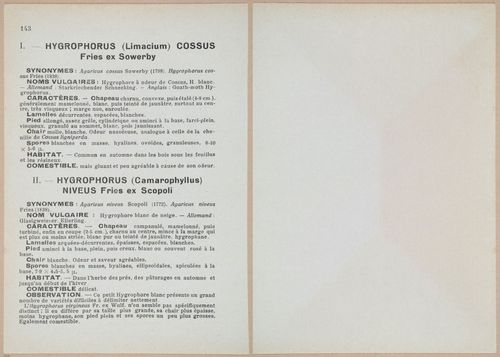 E409 - Les Champignons - i19512