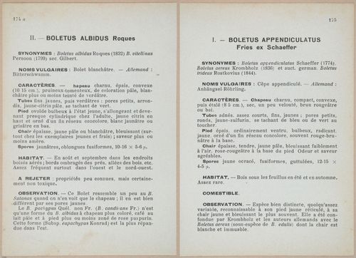 E409 - Les Champignons - i19578-19579