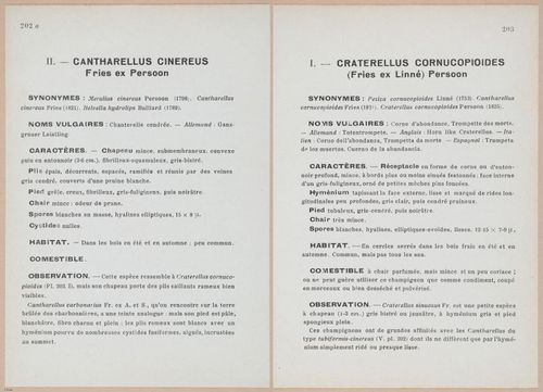 E409 - Les Champignons - i19640-19641