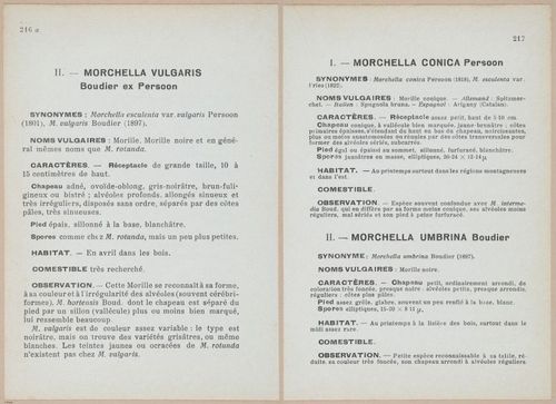 E409 - Les Champignons - i19670-19671