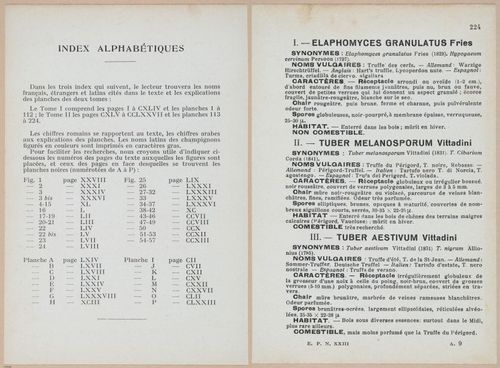 E409 - Les Champignons - i19688-19689
