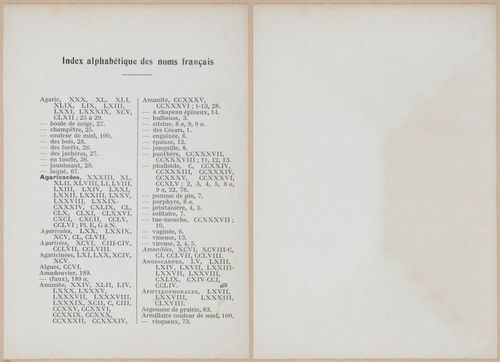 E409 - Les Champignons - i19690