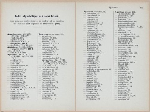 E409 - Les Champignons - i19716-19718
