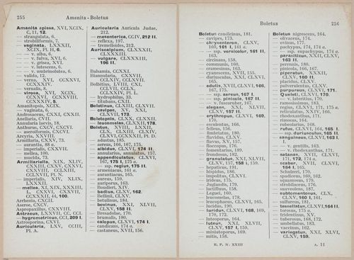 E409 - Les Champignons - i19721-19722