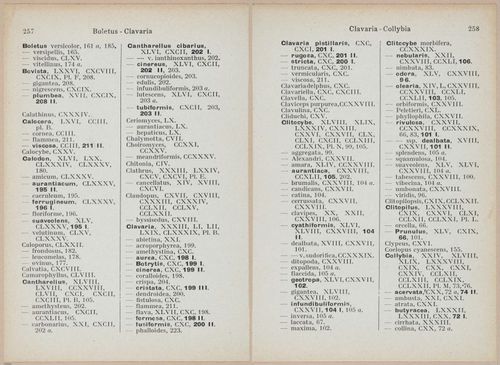 E409 - Les Champignons - i19723-19724
