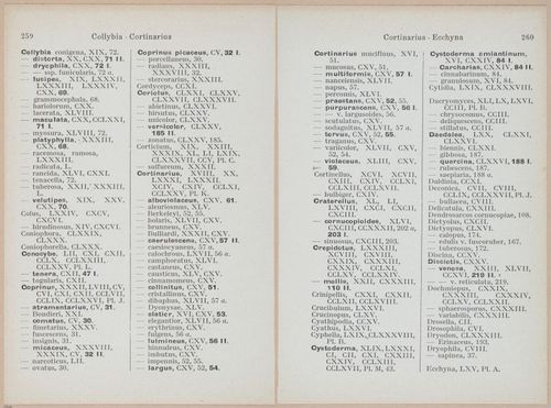E409 - Les Champignons - i19725-19726