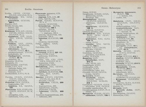 E409 - Les Champignons - i19727-19728