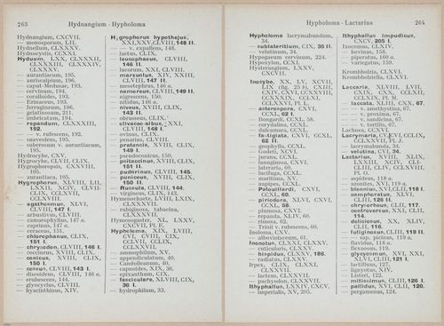 E409 - Les Champignons - i19729-19730