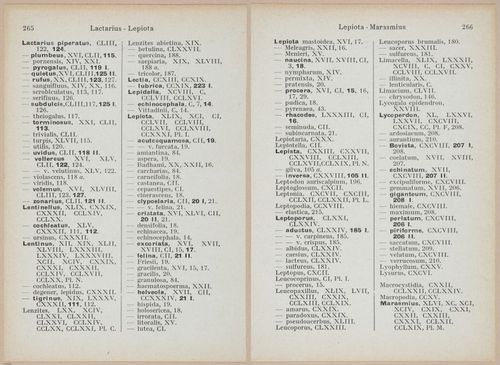 E409 - Les Champignons - i19733-19734