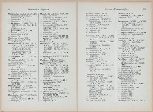 E409 - Les Champignons - i19735-19736