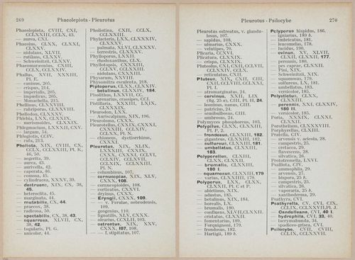 E409 - Les Champignons - i19737-19738