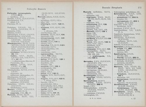 E409 - Les Champignons - i19739-19740