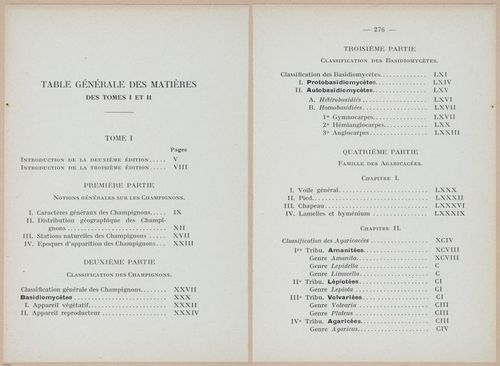 E409 - Les Champignons - i19743-19745