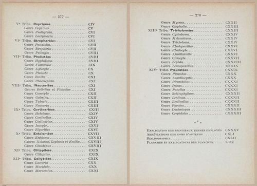 E409 - Les Champignons - i19746-19747