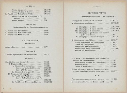 E409 - Les Champignons - i19750-19751