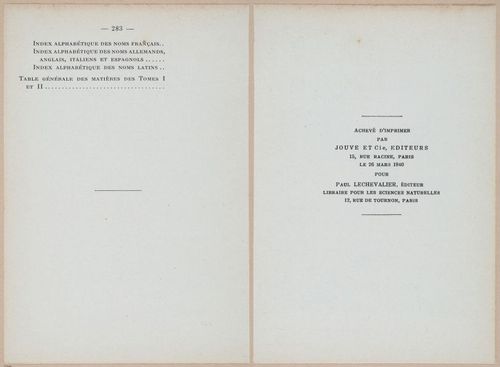 E409 - Les Champignons - i19752-19753
