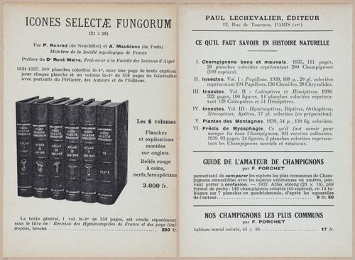E409 - Les Champignons - i19755-19756