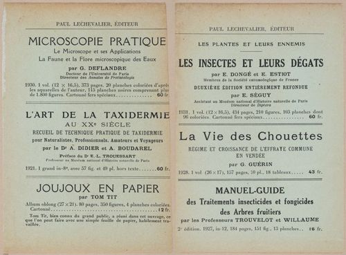 E409 - Les Champignons - i19757-19758