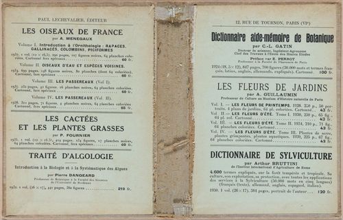 E409 - Les Champignons - i19759-19760