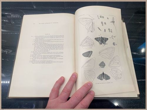 E377 - Report of the Secretary of the Interior - Vol III - 1889 - 3793