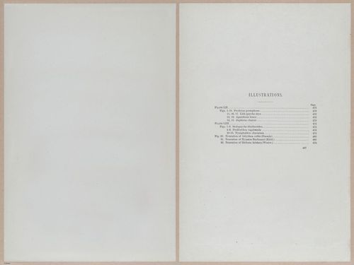 E377 - Report of the Secretary of the Interior - Vol III - 1889 - 18682