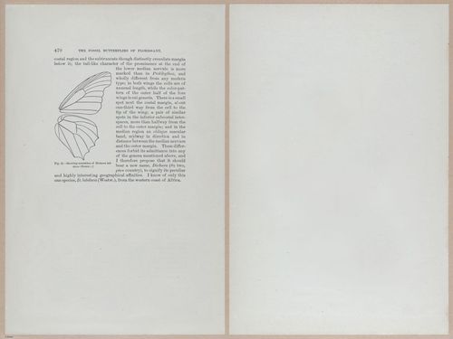 E377 - Report of the Secretary of the Interior - Vol III - 1889 - 18714