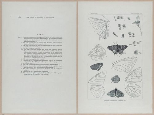 E377 - Report of the Secretary of the Interior - Vol III - 1889 - 18715-18716