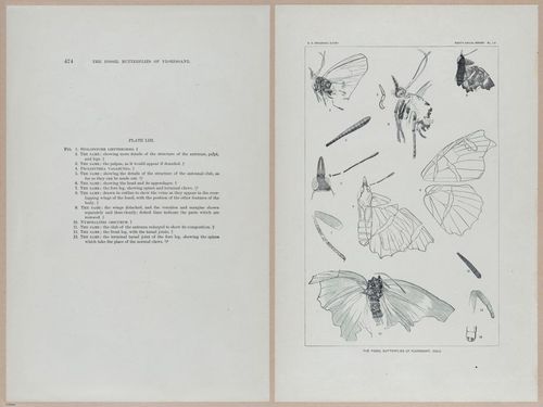 E377 - Report of the Secretary of the Interior - Vol III - 1889 - 18717-18718