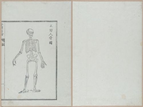E419 - Japanese Medical - i20478-20477