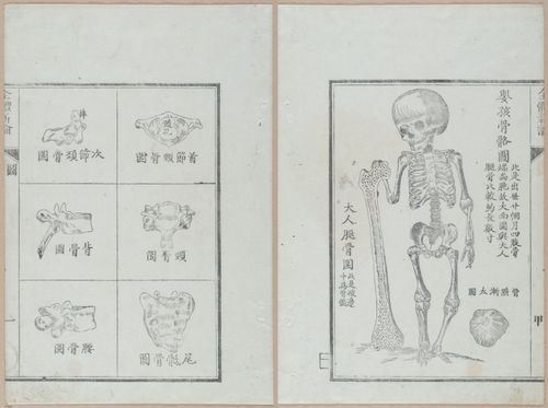 E419 - Japanese Medical - i20480-20479