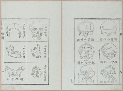 E419 - Japanese Medical - i20482-20481