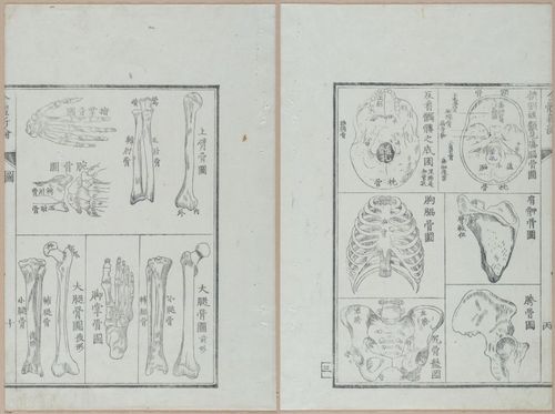 E419 - Japanese Medical - i20484-20483