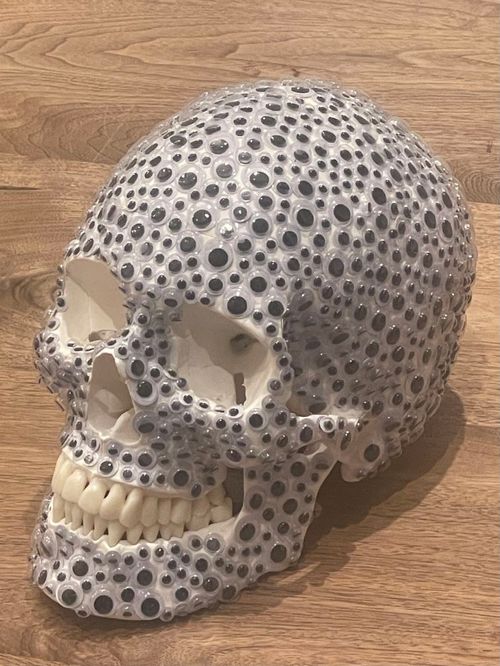Skull - 2023