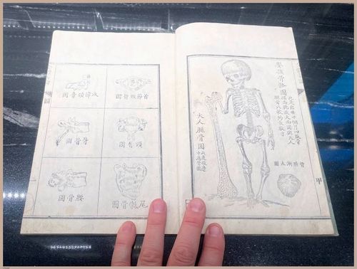 E419 - Japanese Medical - i8352