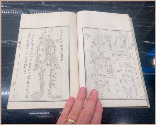 E419 - Japanese Medical - i8354