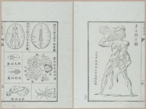 E419 - Japanese Medical - i20490-20489