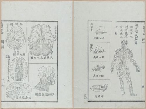 E419 - Japanese Medical - i20492-20491