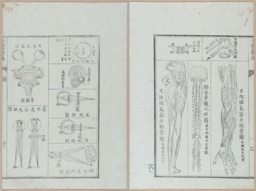 E419 - Japanese Medical - i20494-20493