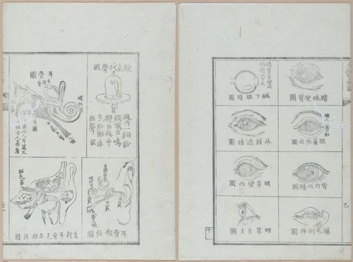 E419 - Japanese Medical - i20498-20497