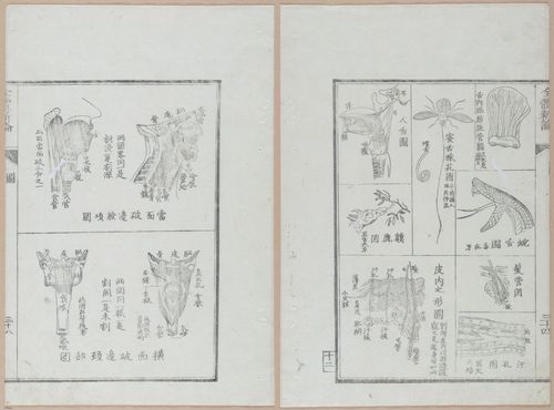 E419 - Japanese Medical - i20506-20505