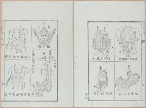 E419 - Japanese Medical - i20508-20507