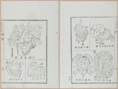 E419 - Japanese Medical - i20510-20509