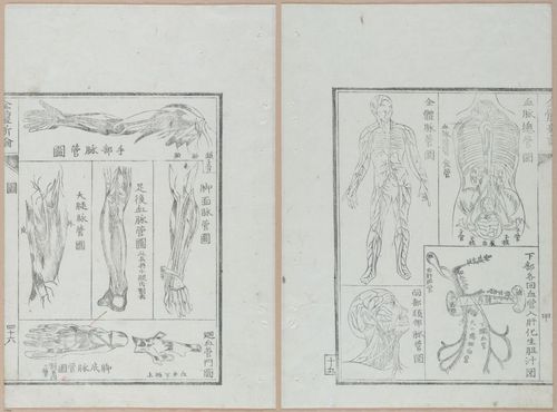 E419 - Japanese Medical - i20513-20512