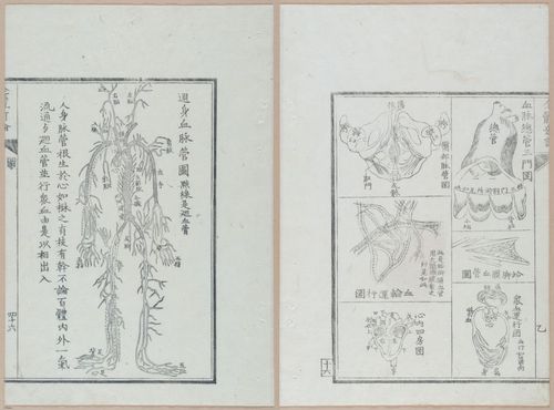 E419 - Japanese Medical - i20515-20514