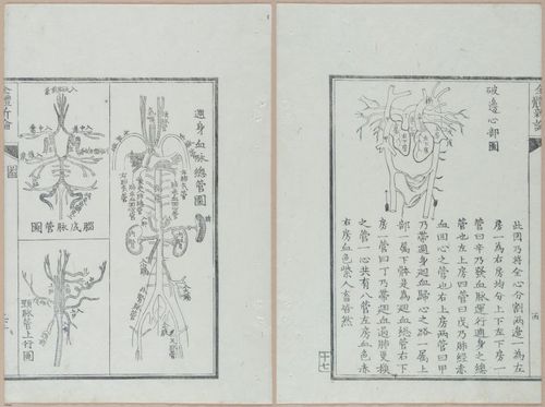 E419 - Japanese Medical - i20517-20516