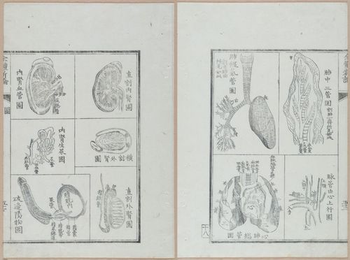 E419 - Japanese Medical - i20519-20518