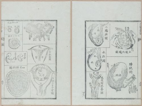 E419 - Japanese Medical - i20521-20520